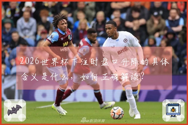 2026世界杯下注时盘口升降的具体含义是什么，如何正确解读？