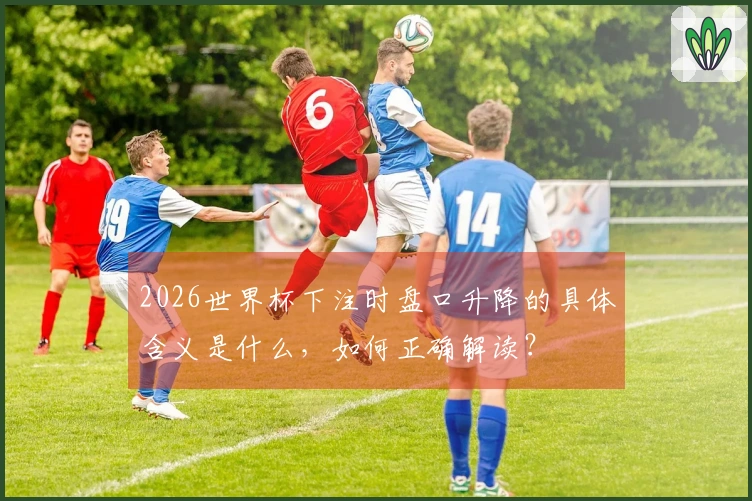 2026世界杯下注时盘口升降的具体含义是什么,如何正确解读?